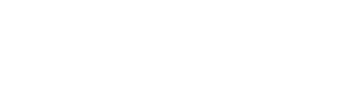 Whyzer